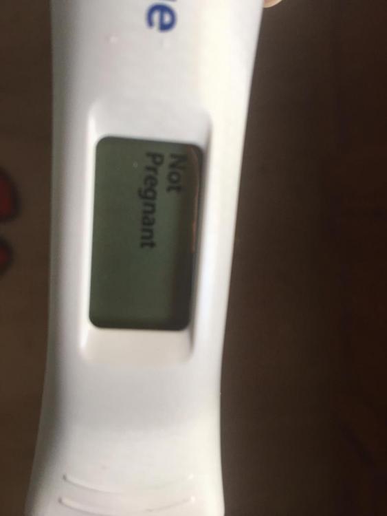 nopregnant.jpg