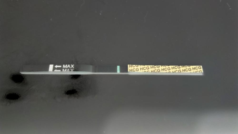 Negative Image_2024417191957820.jpg